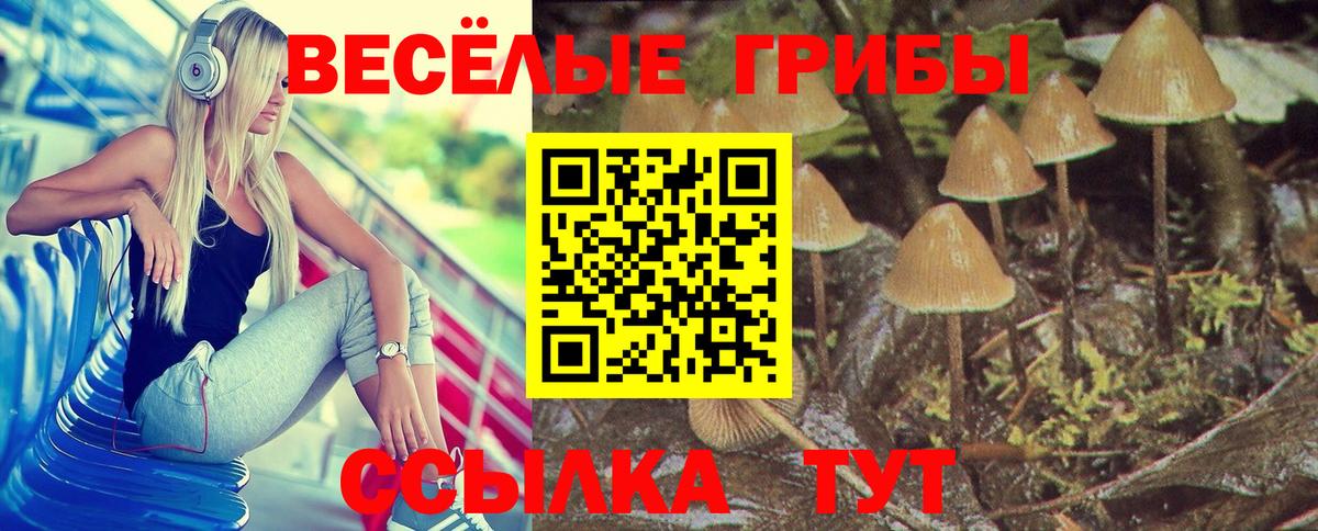 Галлюциногенные грибы ЛСД  Вход с VPN  Белорецк  Псилоцибиновые грибы Cubensis 